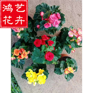 �����Ļ��ļ�С�~�t���Ļ��_���ļ����Ի��ܻ����L�����҃Ȼ���