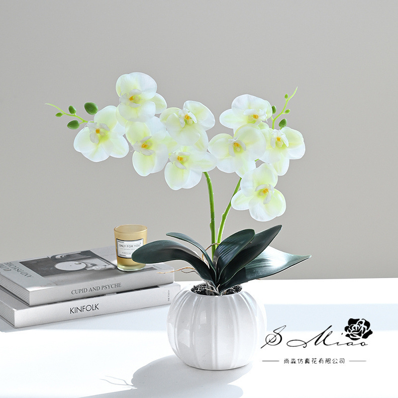 Flores artificiales con textura de película impresa en 3D, bonsái de orquídea Phalaenopsis, adornos creativos, flores artificiales directamente del fabricante, plantas artificiales en maceta image 12
