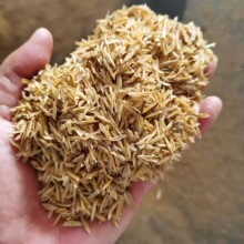 �F؛�������s�������r�Ț��ֿ��׿�ι�u�����J���R�i�u���|�ϵ���