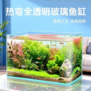 �Ꮭ���岣��һ�w���Ͳ������~�׼��������k�����쾰�Ꭷ�~���~��