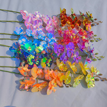 �����m�����D����滨�߼��к����L�ٻ��Gֲ�����S���l���ܷ��滨