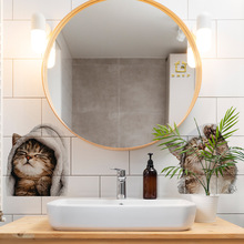 HS4002C��ԡ�������˿ɐ�؈��Q�Ȍ�����ճ���Nϴ��̨ԡ���b��N��