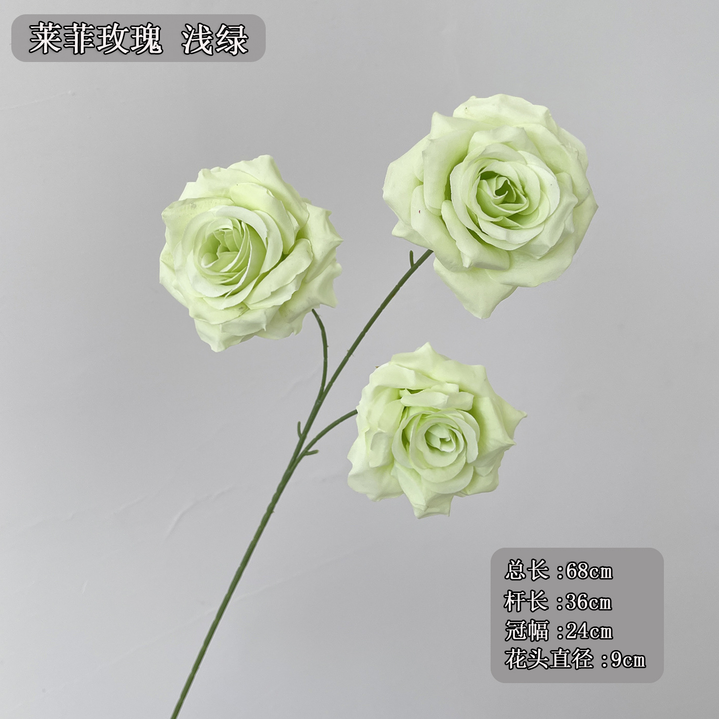 라이피 장미 3송이, 연한 녹색