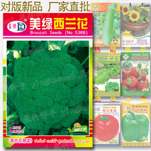 ���G���m���N�� �s300�� �໨�˾o�������{��Ҭ���� �߲˷N�����l