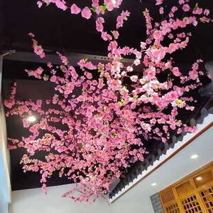 ����bѻ�������ֲ��֦�٘��偵��Ř�ٻ��Ž��һ��һ�