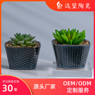 �����ơ�����ֲ��廨�ɻ�����ֲ�����Ի���ins����F�������辰