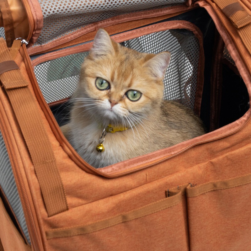 现货亚马逊猫包可拓展透气外出便携大空间猫咪背包太空舱宠物背包|undefined