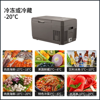 9 liter compressor car refrigerator Soyuducular