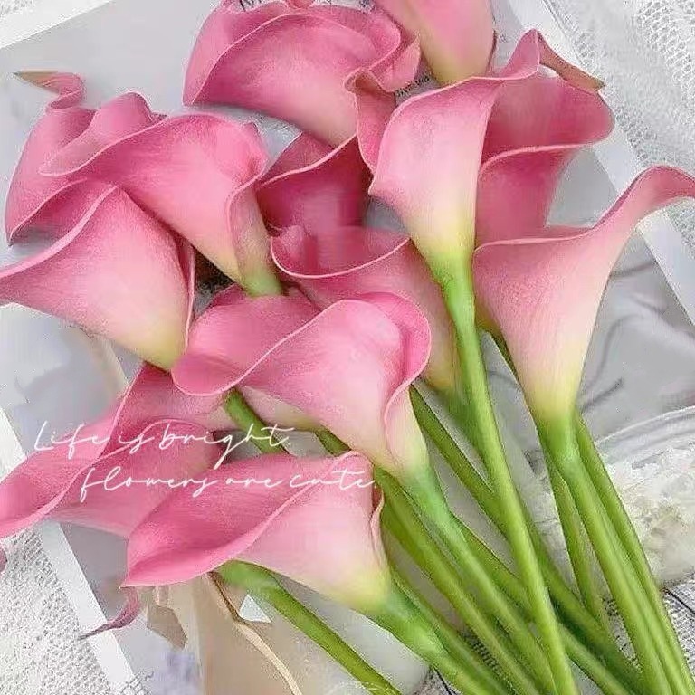 蜜桃粉
