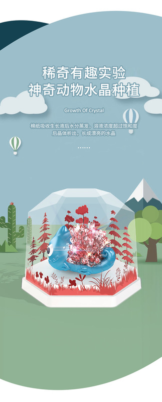 https://www.toonies.cn生長水晶詳情頁_10.jpg_800x800.jpg