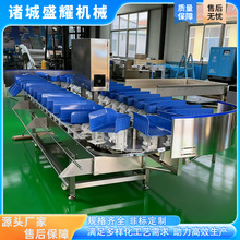 ���r���ط��x�C 5���O����С�x���C �������������ּ��Cʢҫ