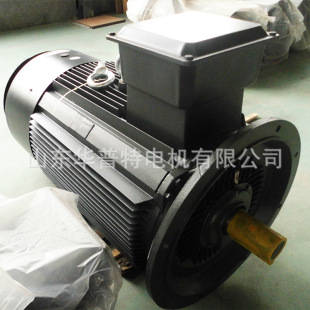 V1��ʽ���b�������p��늙CYDT-315L-4/6 400V 110/75kW���ஐ��