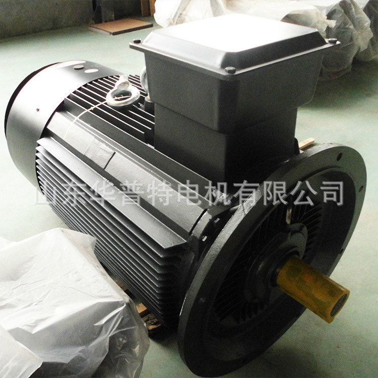 V1立式安装,交流双速电机YDT-315L-4/6 400V 110/75kW三相异步