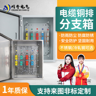 Cable branch box T connection box cable branch box transfer box copper bar conversion box insulation box conversion distribution box
