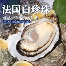 �����M���������鼴ʳ���r�������l �����r��ˮ�a���r ���l�r��