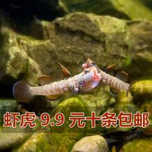 ����ϡ��ԭ����ˮ��С�͵�ˮ����Ϫ��Ϻ��Ϻ��������ͻ������