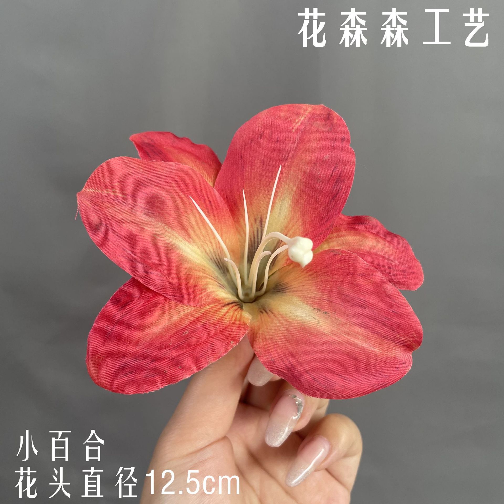 색상 번호 13