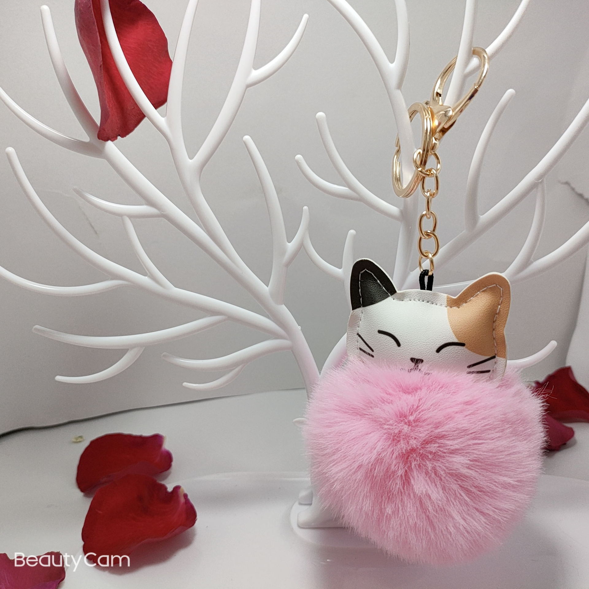 MYXJ_20211126212935318_fast_看图