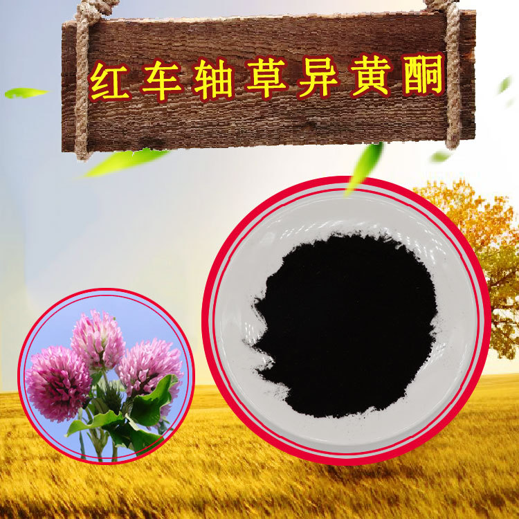 红车轴草异黄酮8%~40%首单立减红车轴草提取物100g/袋红车轴草粉