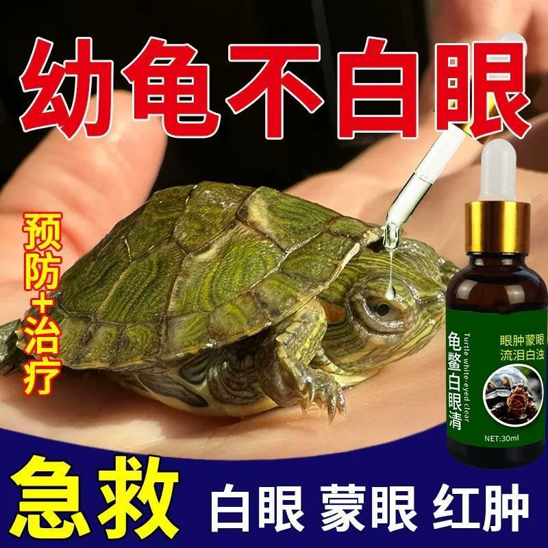 Болезнь белого глаза черепахи, глаз черепахи, вода для замачивания черепахи, специальная вода для глаз черепахи, белый глаз, глаза с завязанными глазами не могут открыться