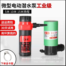 Сˮ��ˮ��и��_�۵�̙C�_�ם�ˮ΢��ֱ����ˮ������12V��ˮ��