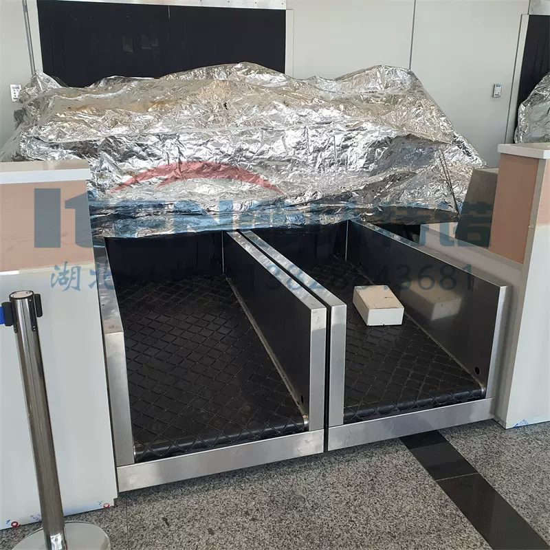 机场行李自动安检过渡传送带输送机 值机行李处理传送设备