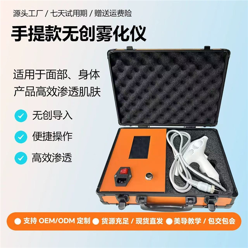 Portable Korean Gcs Non-Invasive Age-Reducing Instrument, Non-Invasive Atomizer, Little Fairy Water Carving Needle-Free Beauty Instrument, Anti-Aging