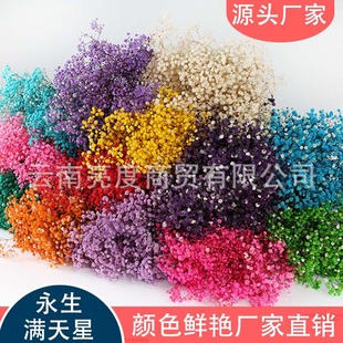 �����M������ɫ���r Դ�^�S�����l���˹���Ϧ���Iĸ�H�����YƷ