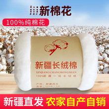 �½��ޱ����޻�һ�����|�L�q��ɢ�bƤ�޾����ތ����������������