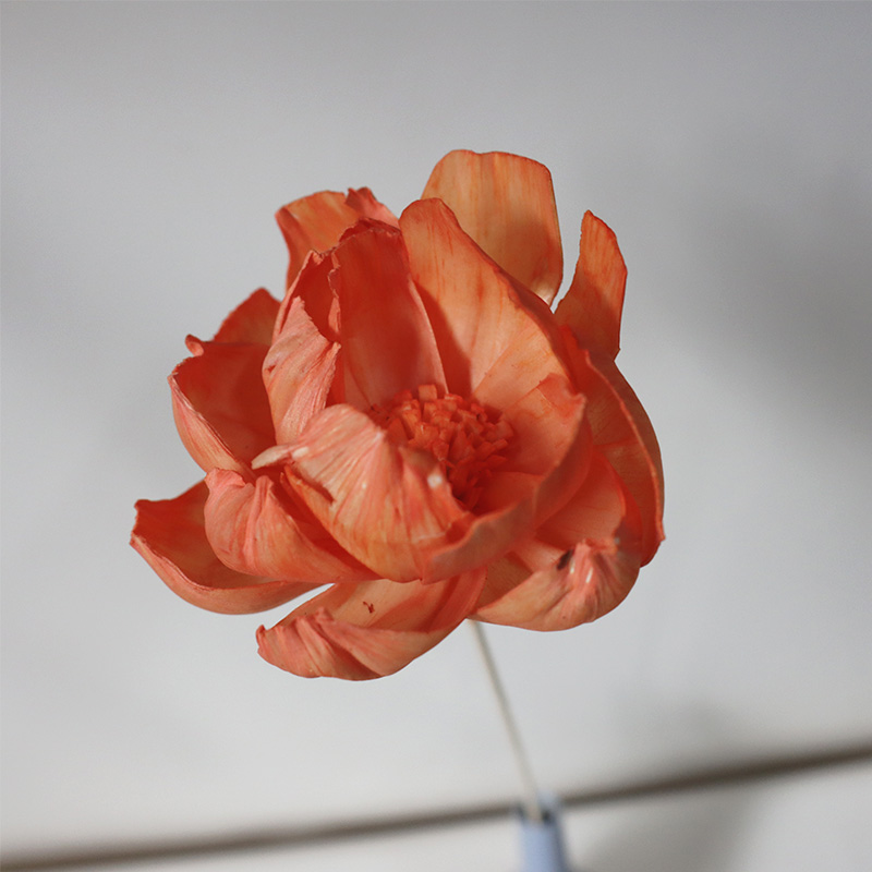Una flor de peonía de color naranja