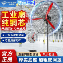 �ʯ�ƹ��I��L������ȏ������ʱڒ�ʽ���L�ȹ��S܇�gţ����ZZ