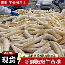 精品牛黄喉 5斤包装 新鲜冷冻去油免处理 厚切牛心管 重庆火锅串