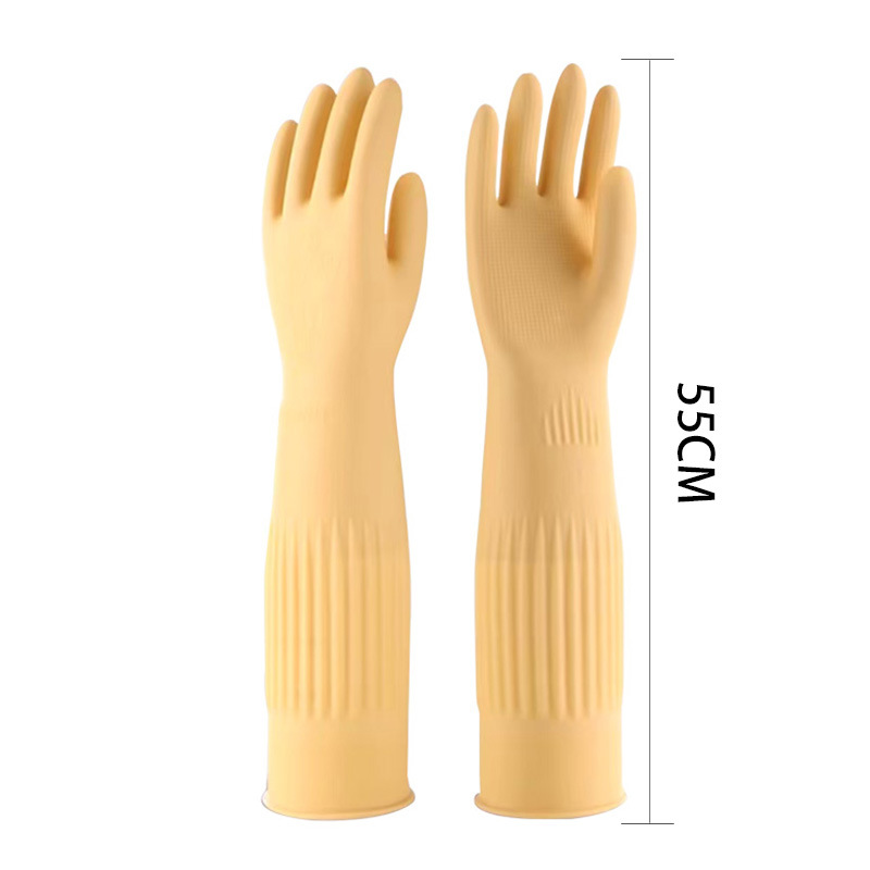 유백색 약 55cm