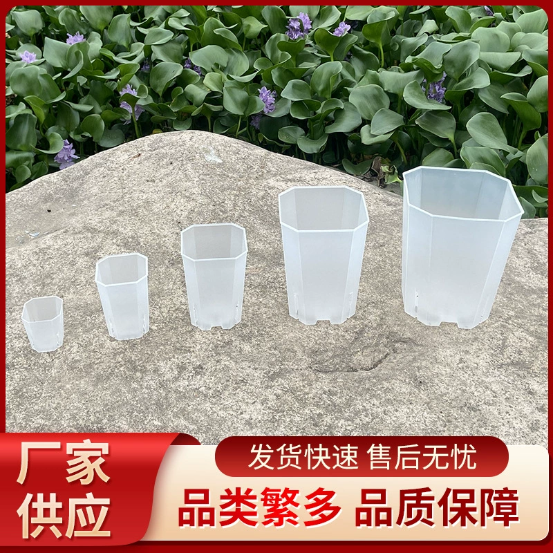 Оптовая многоразмерный прозрачный вьентьянский бассейн украшение сада с высокой щели квадратный прозрачный пластиковый посев растений бонсай