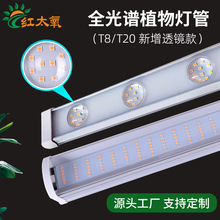 ȫ���VT8T20ֲ�����LED�߲˴���Nֲ�҃ȼ��û��ܶ������L�a���