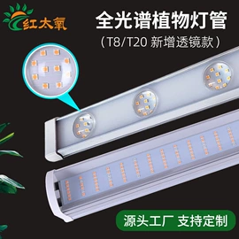 植物生长灯