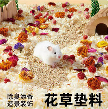 �}�󻨲݉|���������|���쾰�����z�ܴ��o�C�ϸɻ���ʳ��