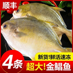 ���K�~���r����ش��K�c�~����~���~�r��rƽ�~���K���r�y�K�~