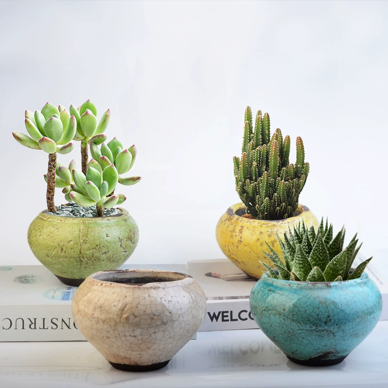 Ручной работы керамический керамогранит мясистый цветочный горшок творческий цветочный горшок отличительный керамический мясистый цветочный горшок
