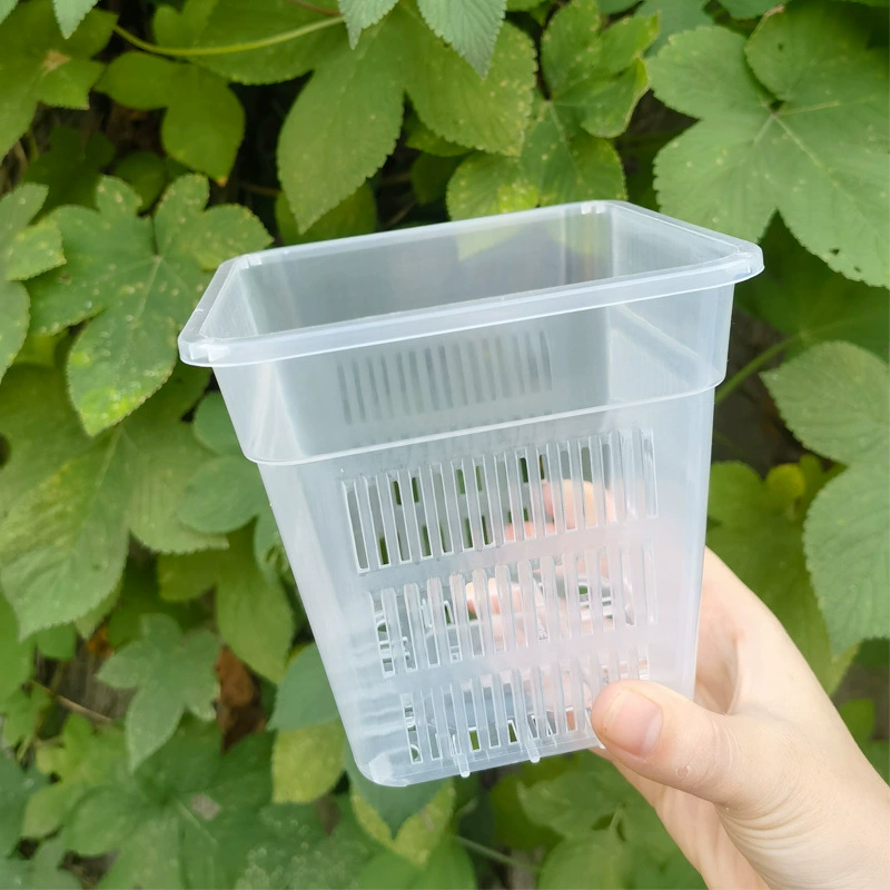 Орхидея в горшке Квадратный горшок Утолщенный дышащий пластиковый цветочный горшок Корневой контроль Фаленопсис Корзина для посадки Орхидея Зеленая диета Гидропонная корзина