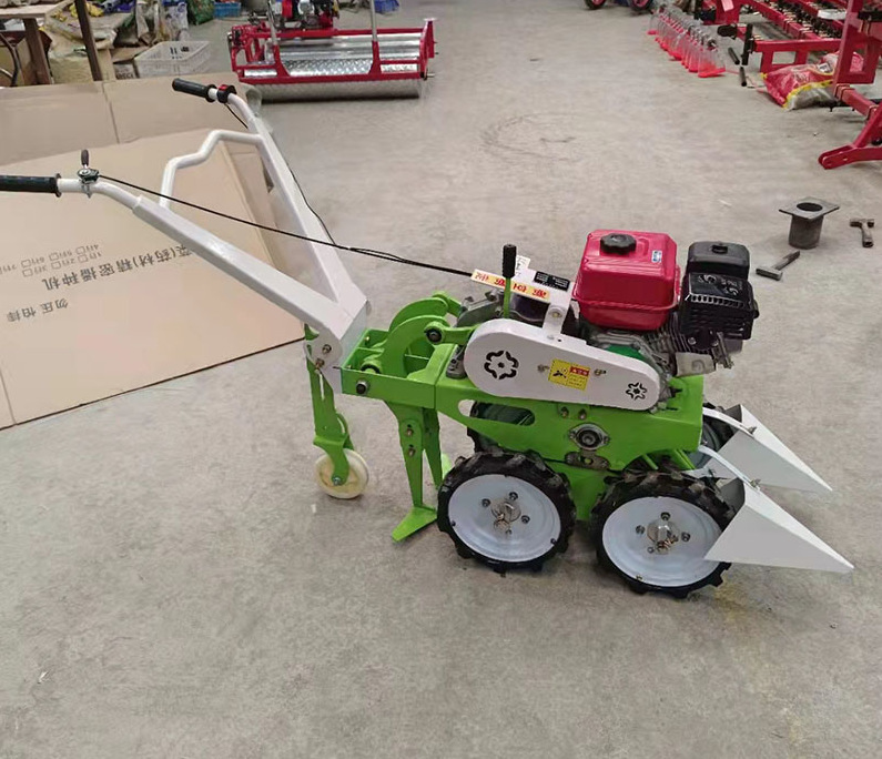 1684d3c3cae87ac6cc4349faea9465