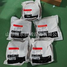 �����C SD22 NT855�l�әC �ͷ� 3006736