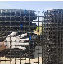 养鸡网养殖网塑料网围栏家禽防护网隔离栅栏漏粪护栏网格拦鸡
