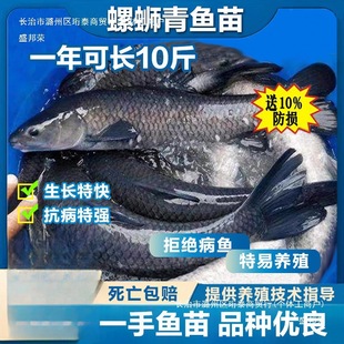 ���~�~�絭ˮ�Bֳʳ�ú����~�Ҟ�������ش���·���~������