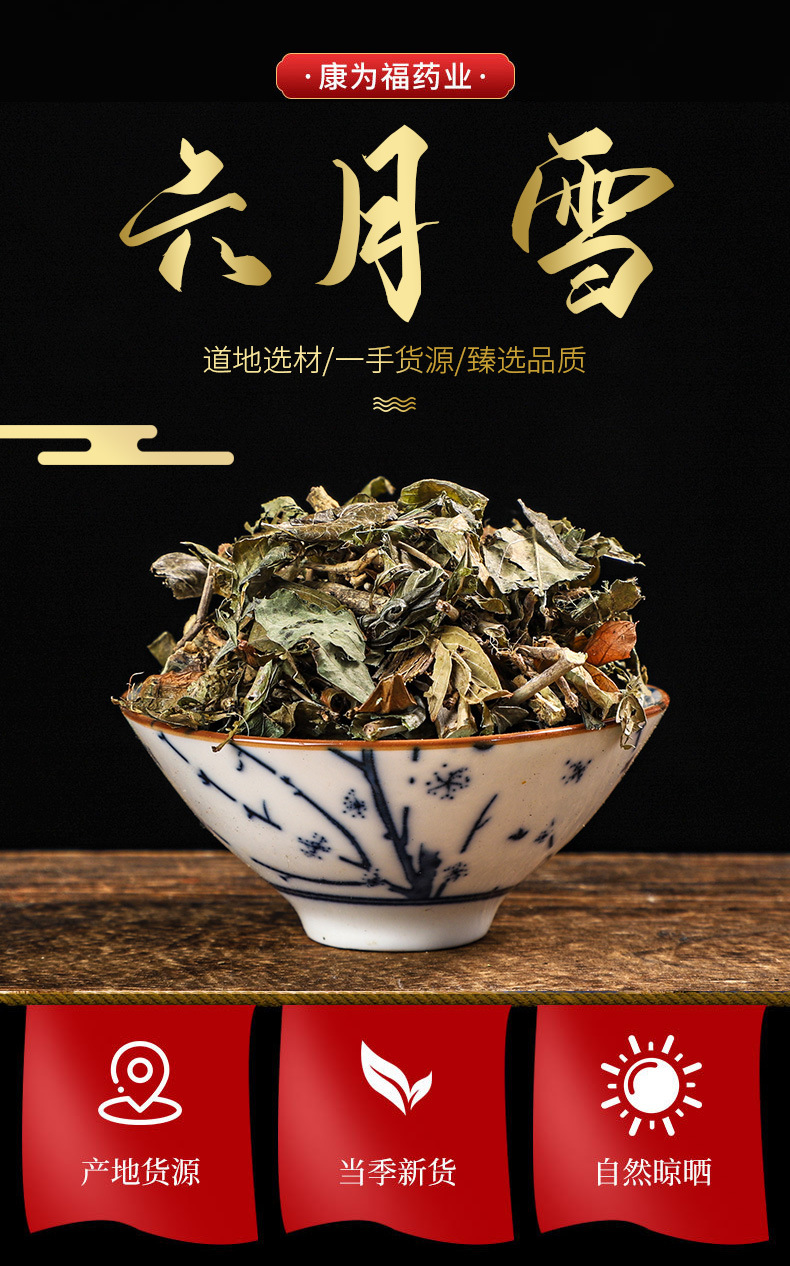 Liu Yue Xue (Serissa japonica) — Dried Snow-in-Summer Herb, 500g overview