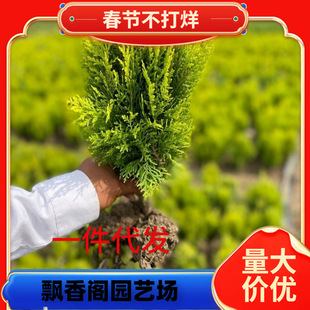 һ�����l����ر�؂Ȱ������辰ͥԺ�̨�҃���Nֲ�׻���B�ļ�