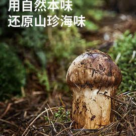 松鲜鲜松茸素蚝油235g调味料炒菜挤挤瓶菌菇提鲜味添加酱油食用