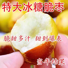 ��z�ۗ��� ���Ǵ󗗘��� ���𶬗���������޽����Ϸ������Nֲ