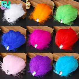 羽毛、羽绒;发夹;发带