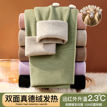 蚕丝羊毛纯棉德绒打底裤女秋冬加绒加厚护腰高腰显瘦秋裤一件代发